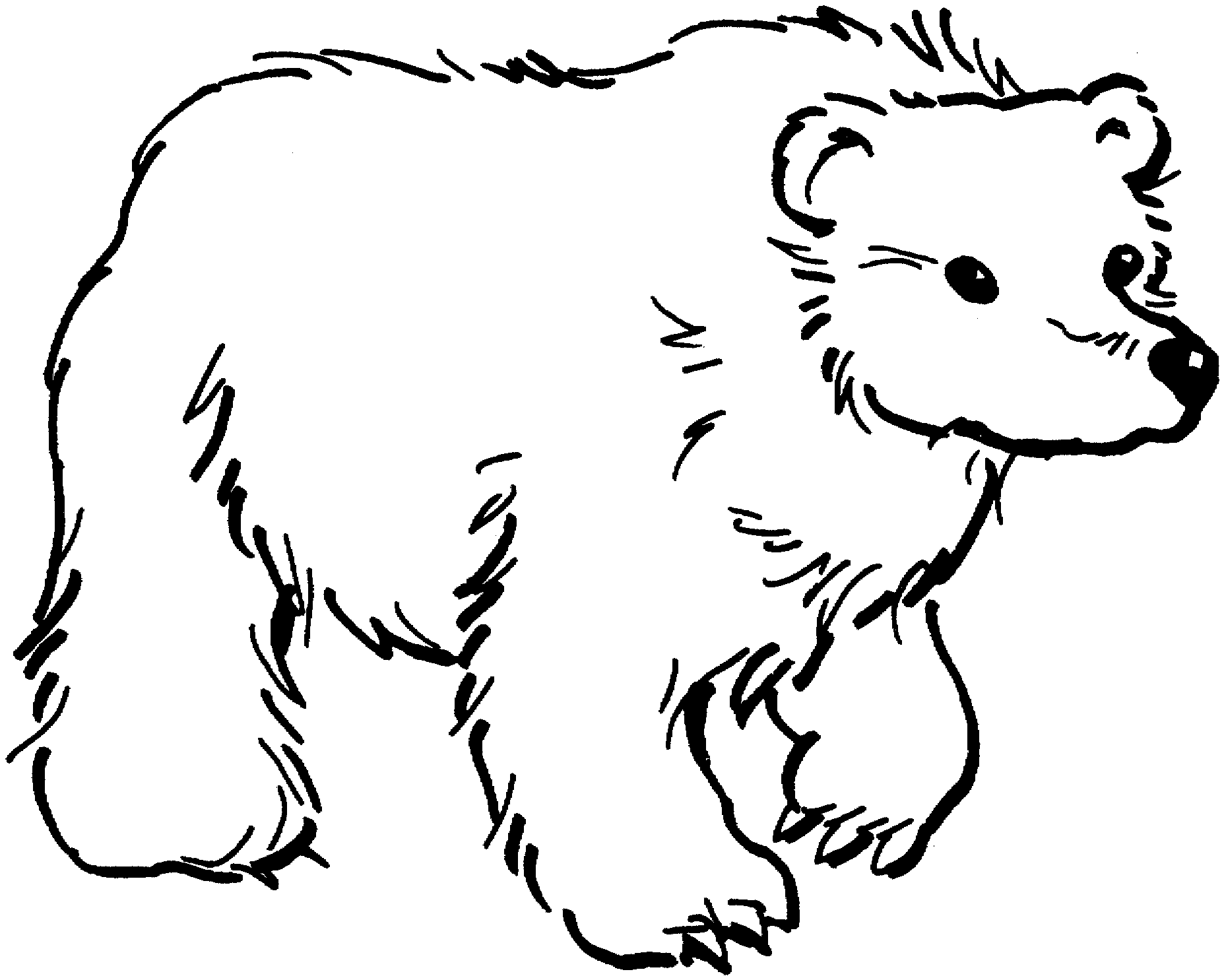 Free Bear Coloring Pages Free Bear Coloring Pages