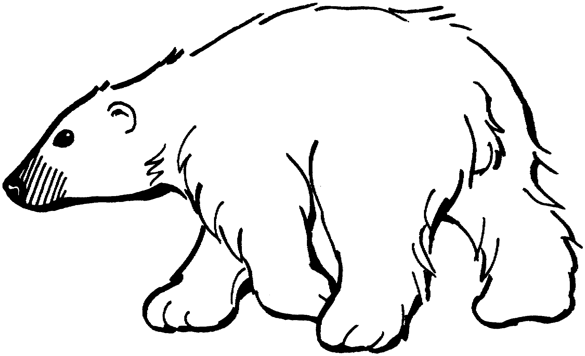 cartoon bears coloring pages - photo #27